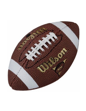 Wilson NFL Micro American Football